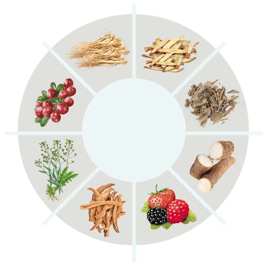 Nutrical ingredient circle